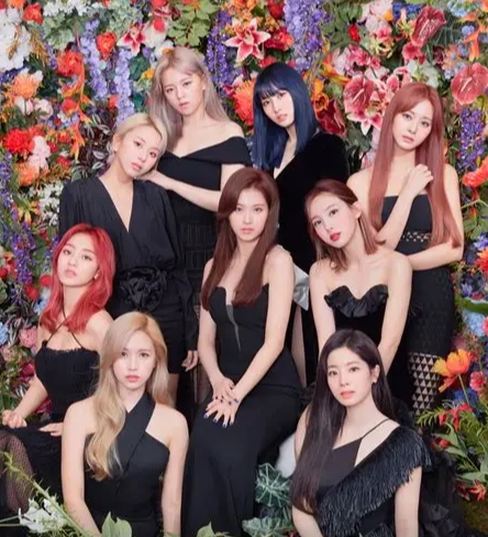 TWICE（兔瓦斯，트와이스）