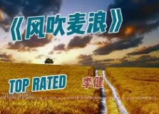 风吹麦浪