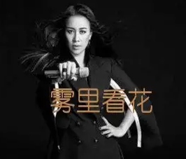 雾里看花