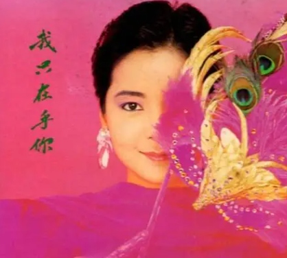 我只在乎你